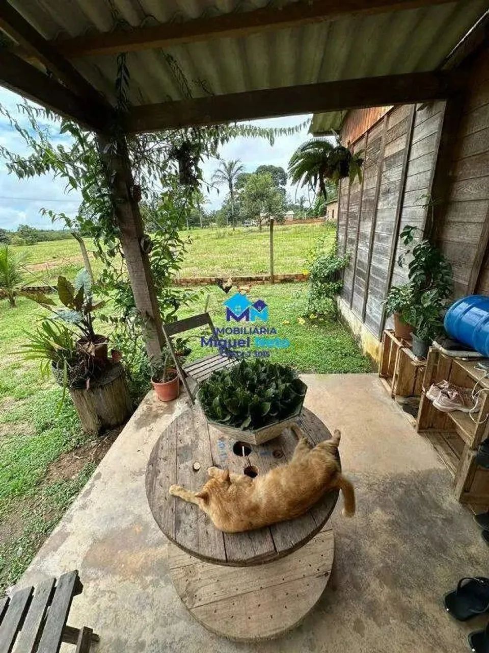 Linda Chácara Próximo ao Bairro Novo - Foto 2
