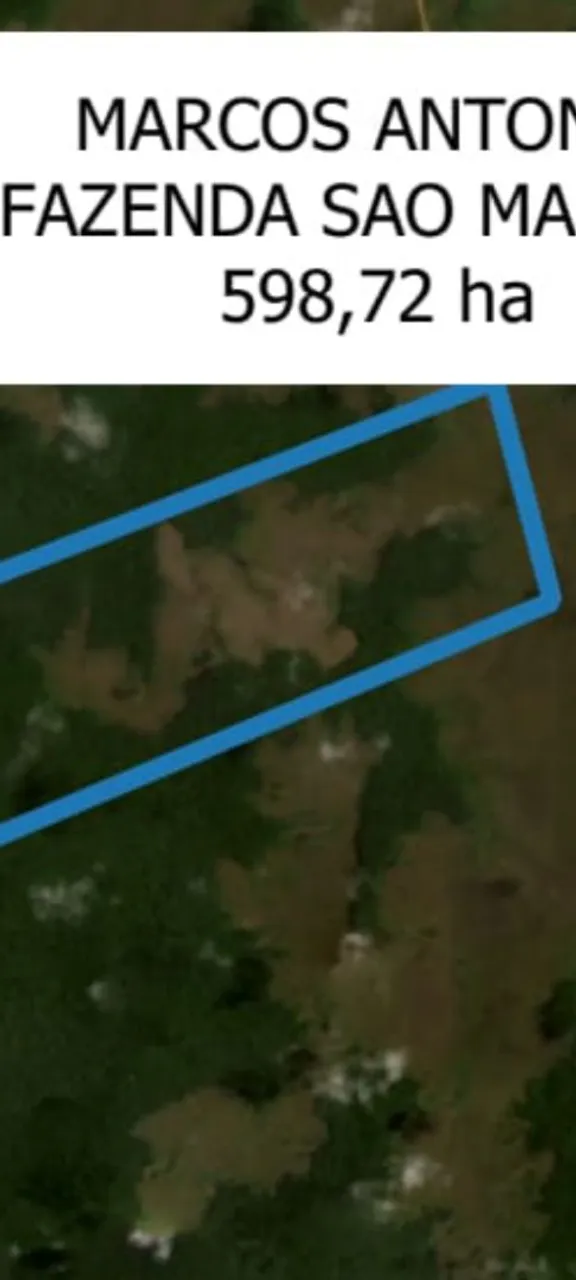 Fazenda 1000 hectares