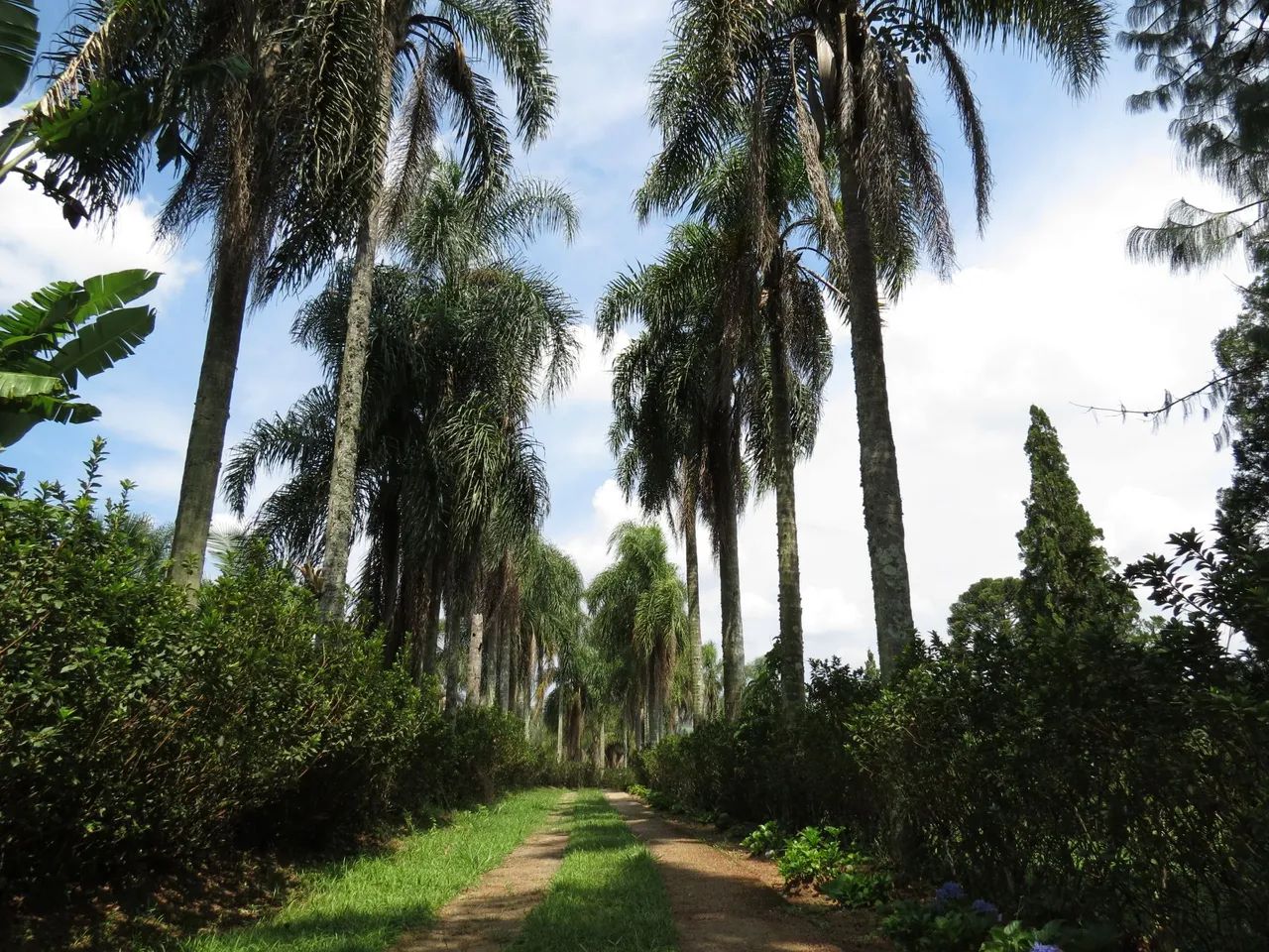 Linda chacara de temporada em Ibiuna, NATAL DISPONÍVEL. , - Foto 12