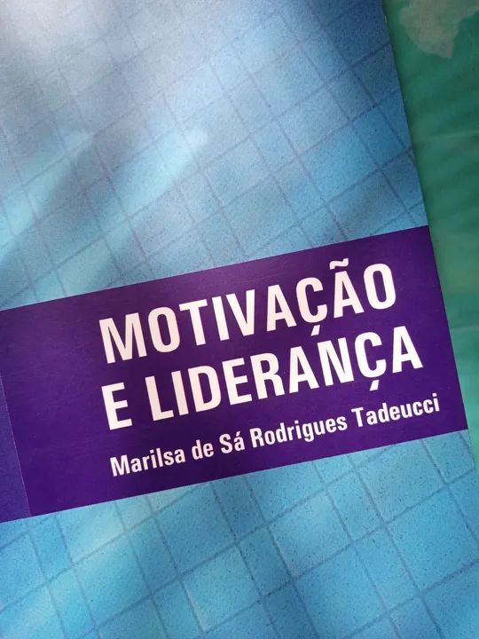 Líder - IESDE - Foto 2