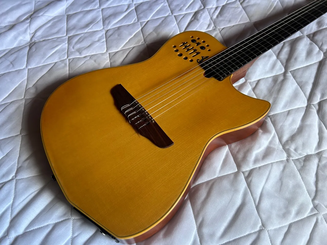 Violão Godin nylon SA com case original