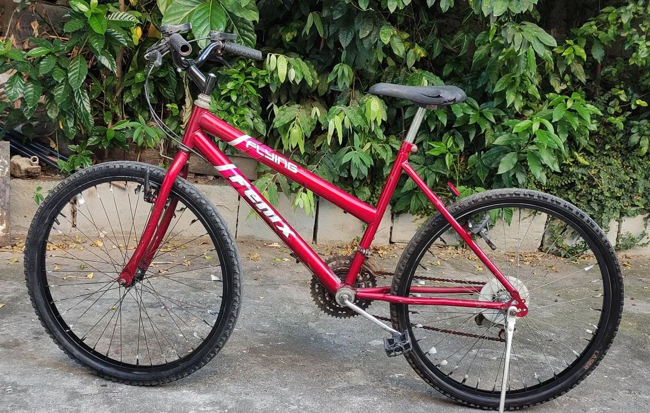 Bicicleta Flying Remix