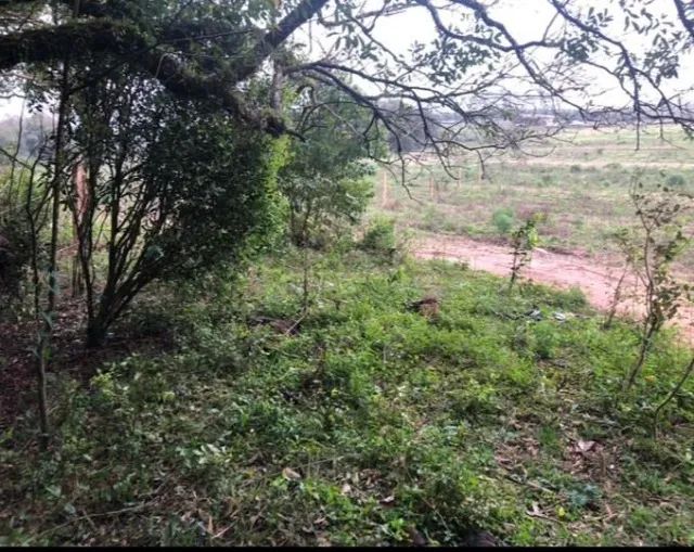 Seu refúgio no campo - Chácara de 10.000m² em Arroio dos Ratos/RS - Foto 3
