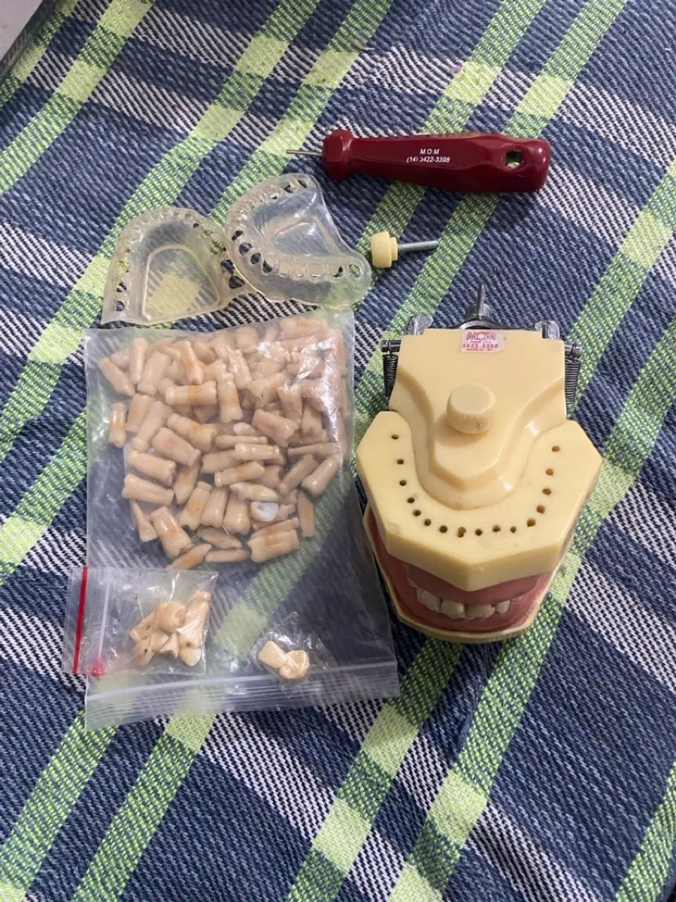 Manequim Odontológico MOM Completo - Foto 3