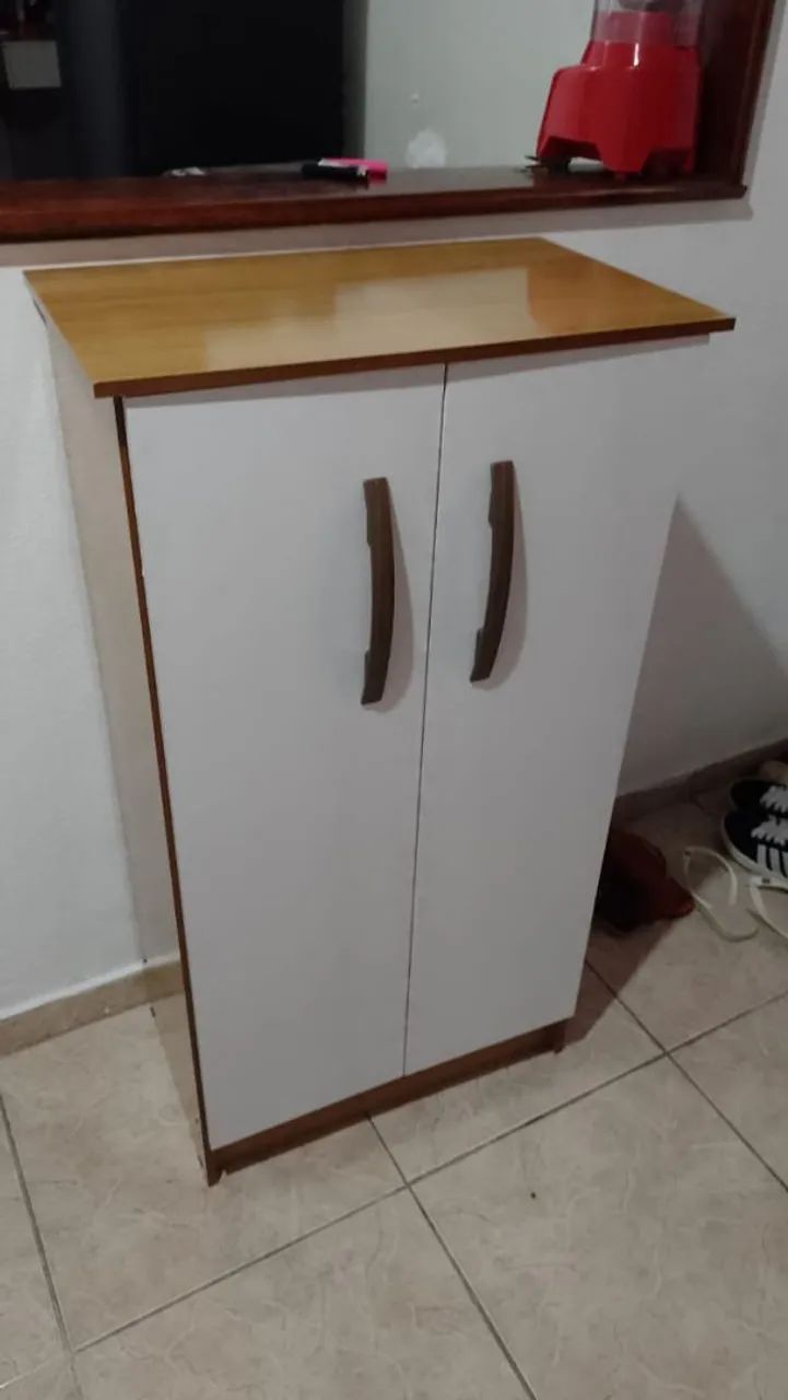 Armário Sapateira 2 Portas multiuso 