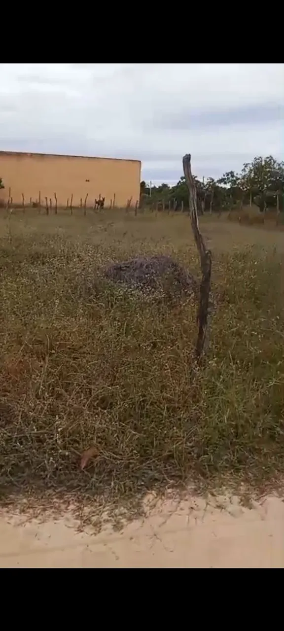 Terreno em Fortim