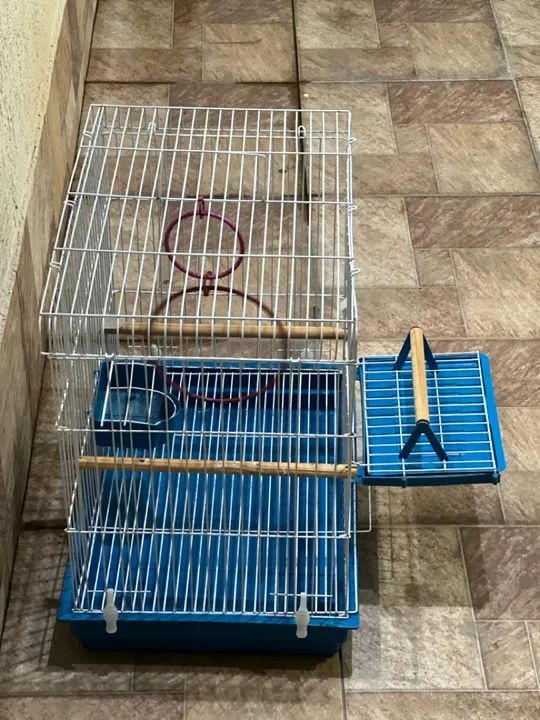 Gaiola para calopsitas  - Foto 3