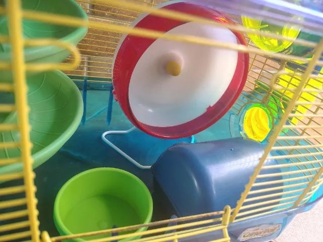 Gaiola para hamster - Kaytee Critter Trail  - Foto 3