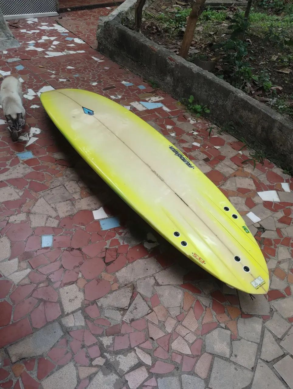 Prancha de Surfe - Ótima para Iniciantes - Foto 4