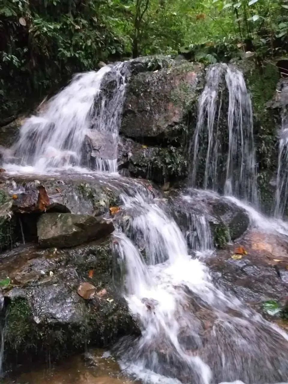 Lindo sítio de 5 hectares sendo 100x500 no bairro Espanha, três riacho Biguacu com casa. - Foto 5