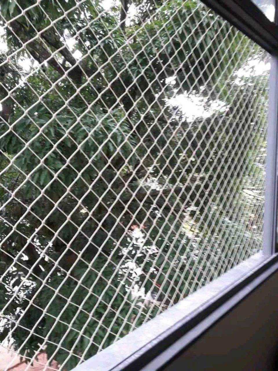 Tela de proteção COBRIMOS ORÇAMENTO 