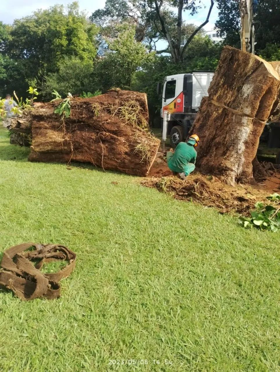 Serviço de poda e Jardinagem  - Foto 2