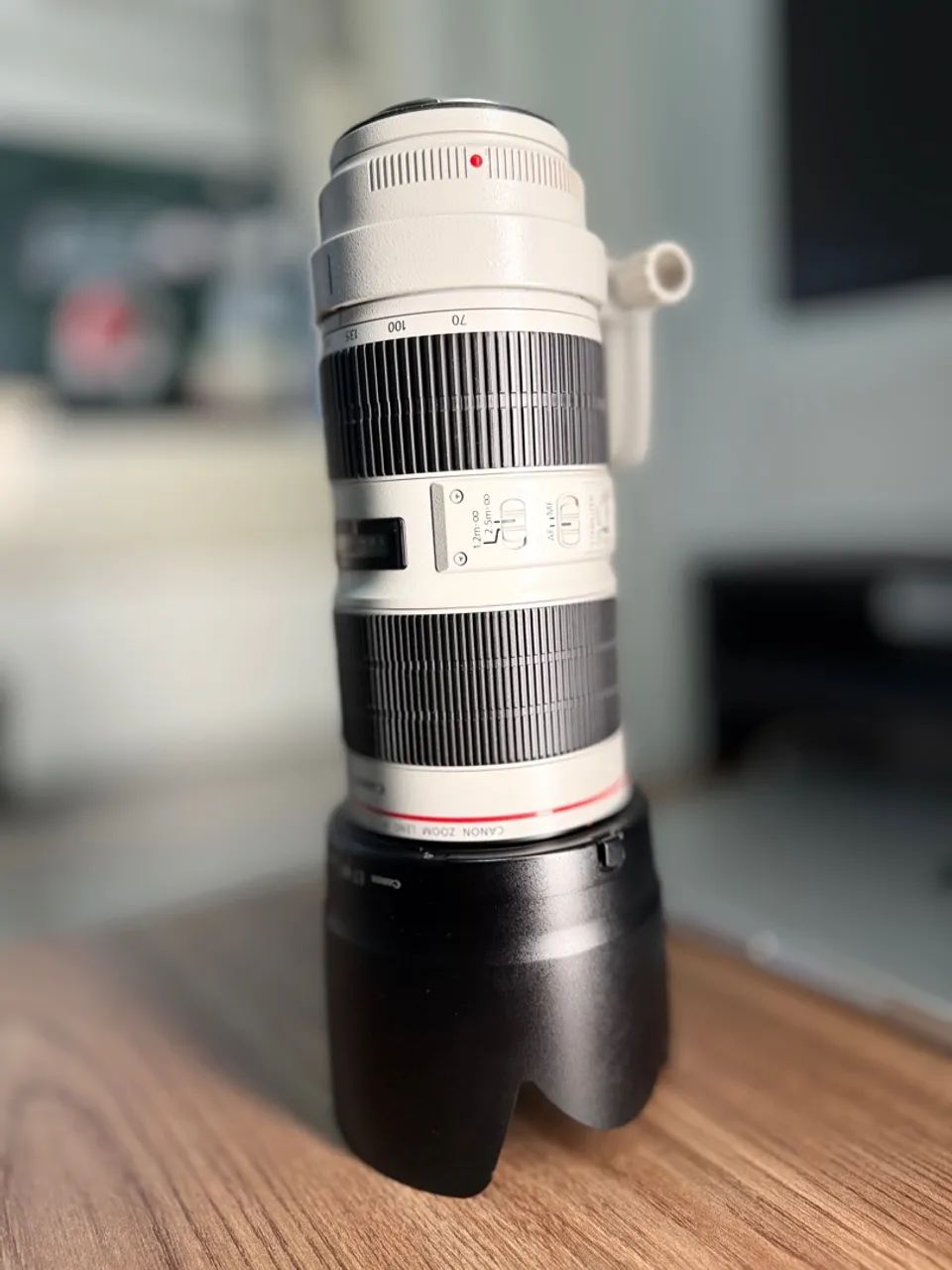 A melhor lente EF 70-200mm f/2.8L  - Foto 3