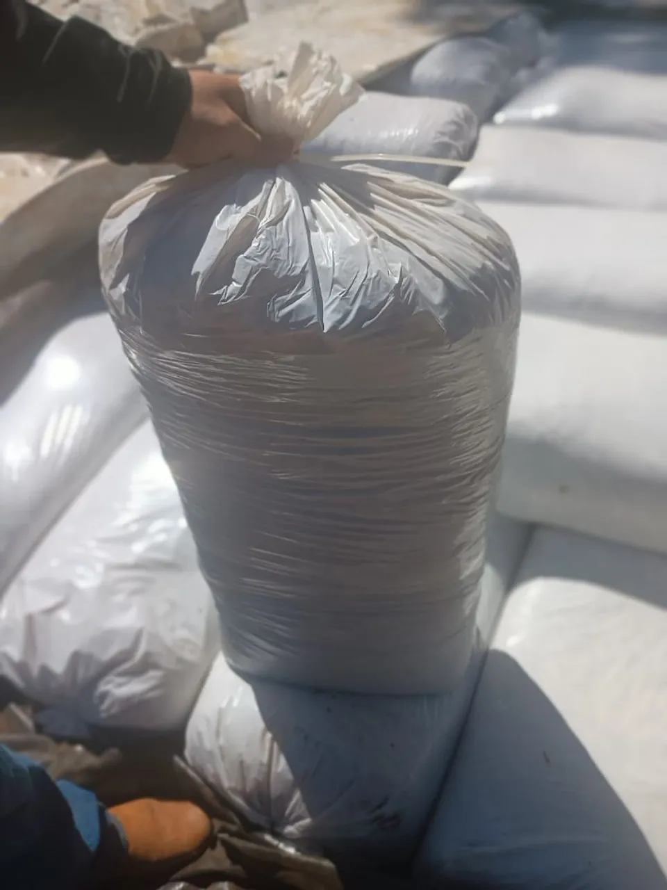 Silagem ensacada