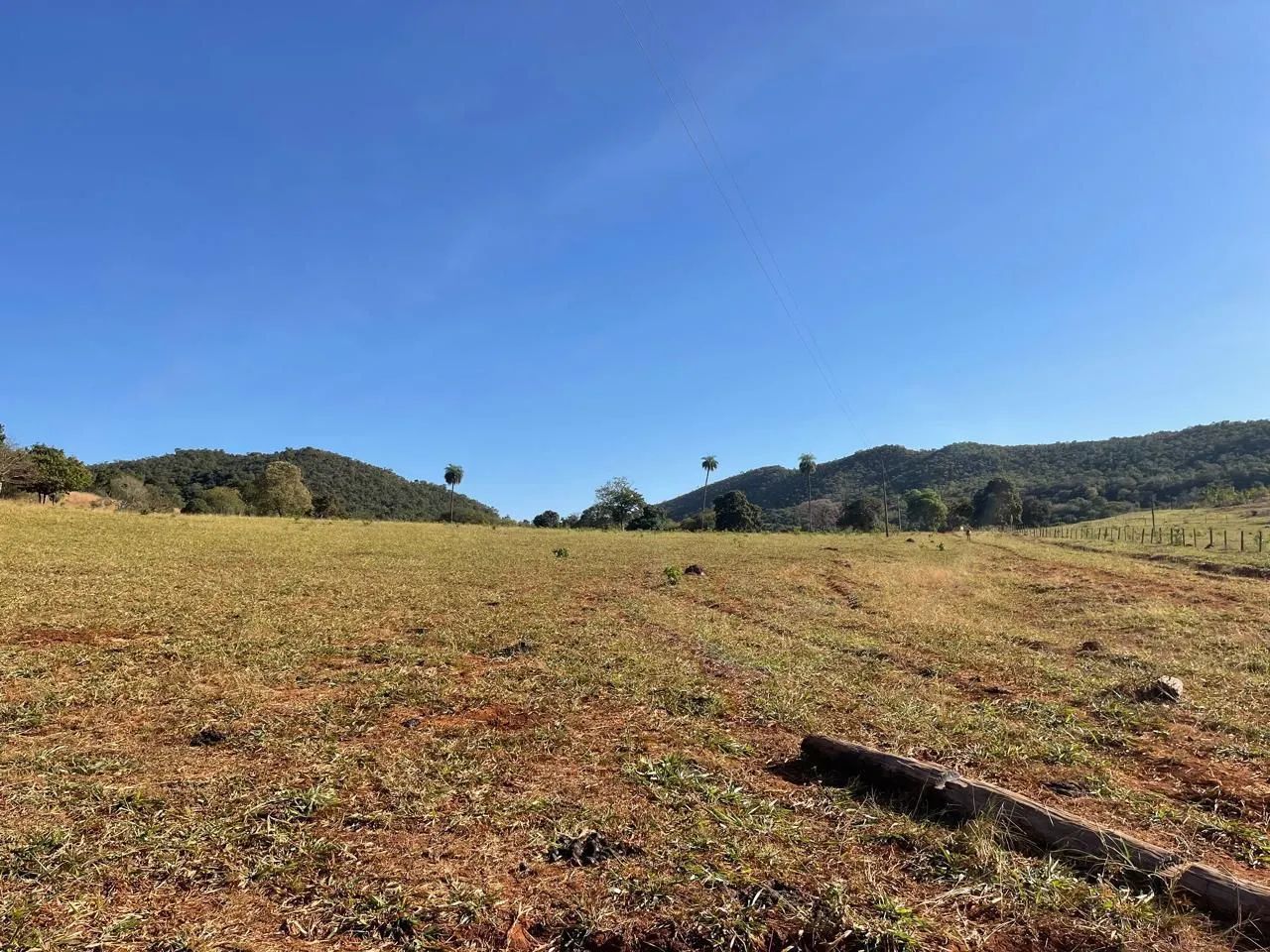 Fazenda disponível para venda  - Foto 3