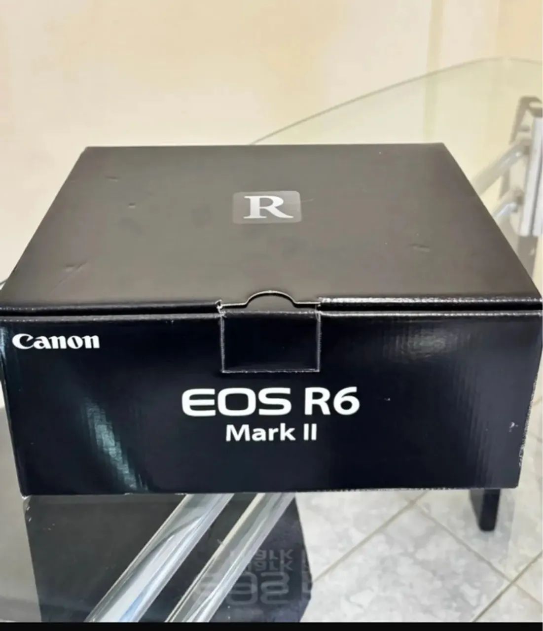 Câmera Canon EOS R6 Mark II Mirrorless Corpo NOVA LACRADA