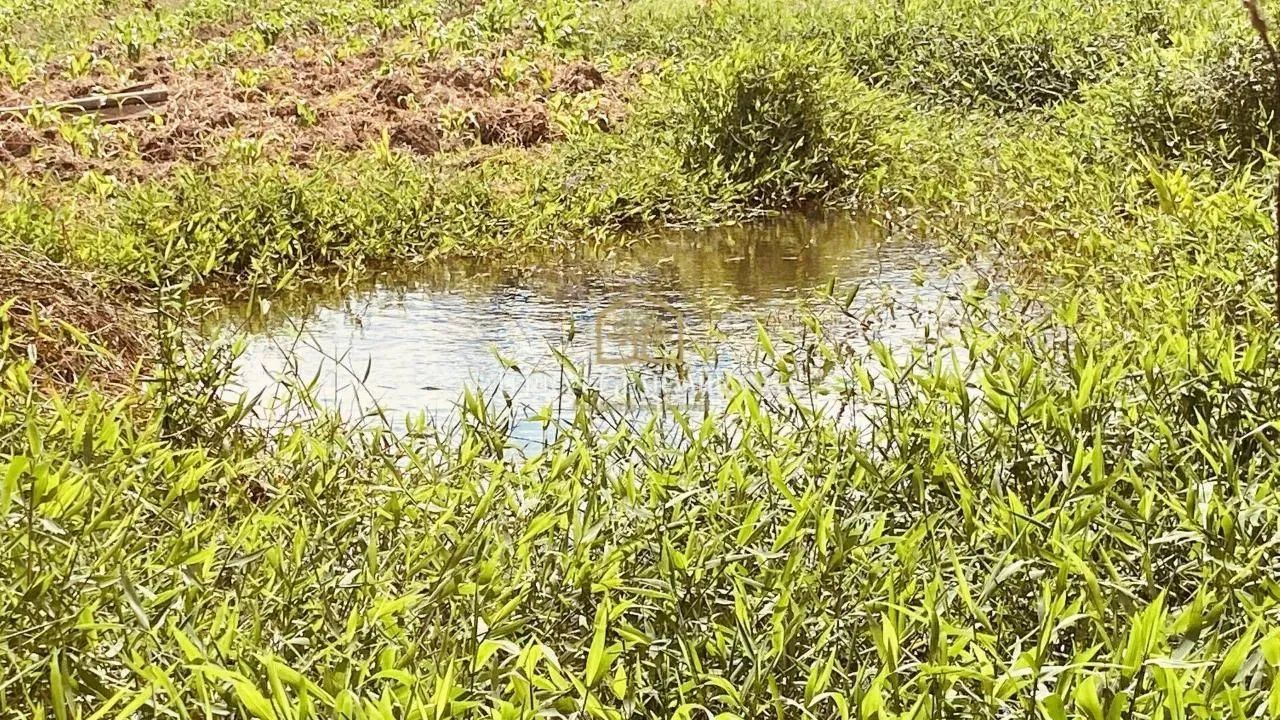 Terreno para venda Monguba Pacoti - Foto 4