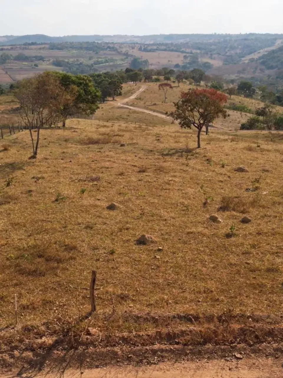 Chácara à venda em Brasília, 3 Quartos(1S), 20.000m2, Perto Samambaia