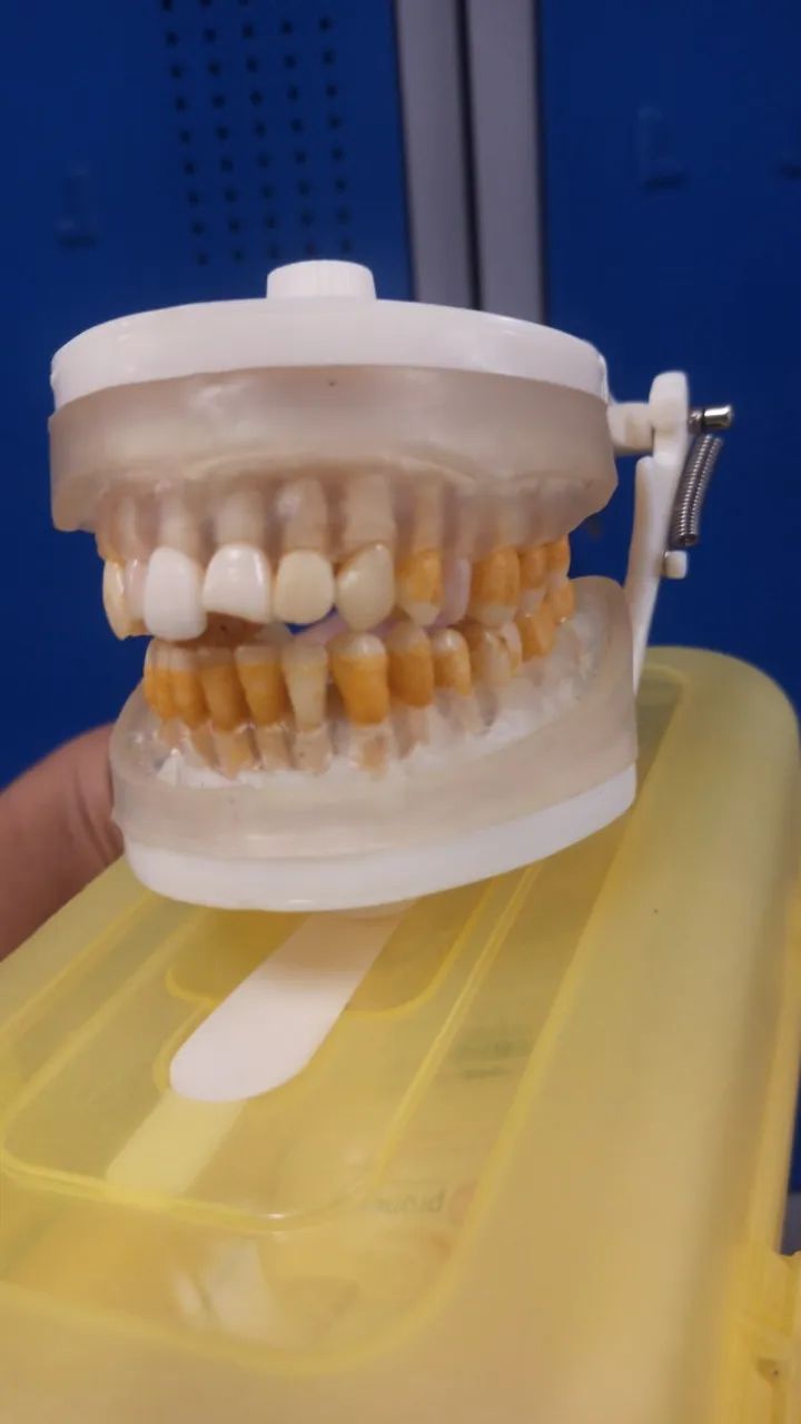Manequim odontológico - Foto 3