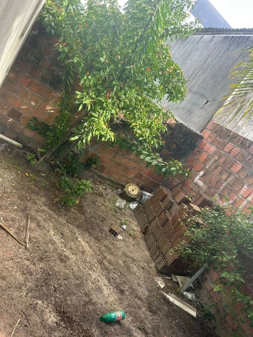 Casa com Piscina em Tibiri 2 - Foto 4