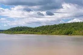 ALCÂNTARA-MA: Ilha a venda de 516 hectares no Litoral Maranhense - Foto 8