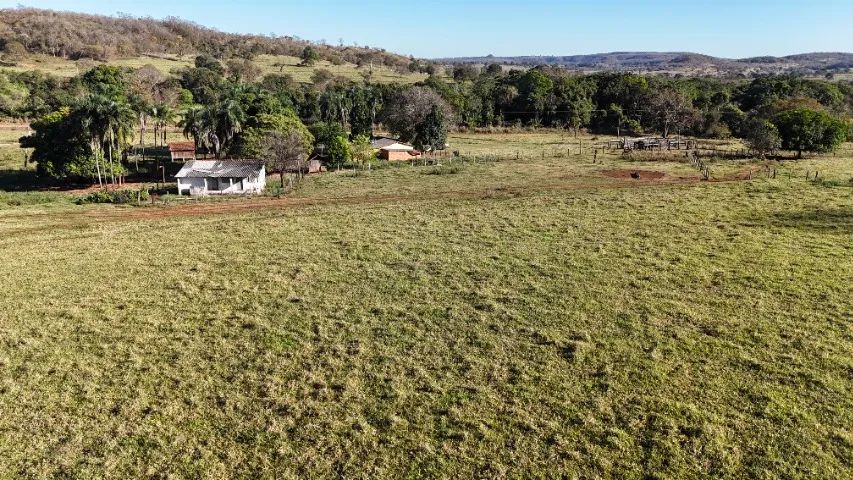 Chácara de 54 Hectares Jaraguari-MS com Rio!! - Foto 4