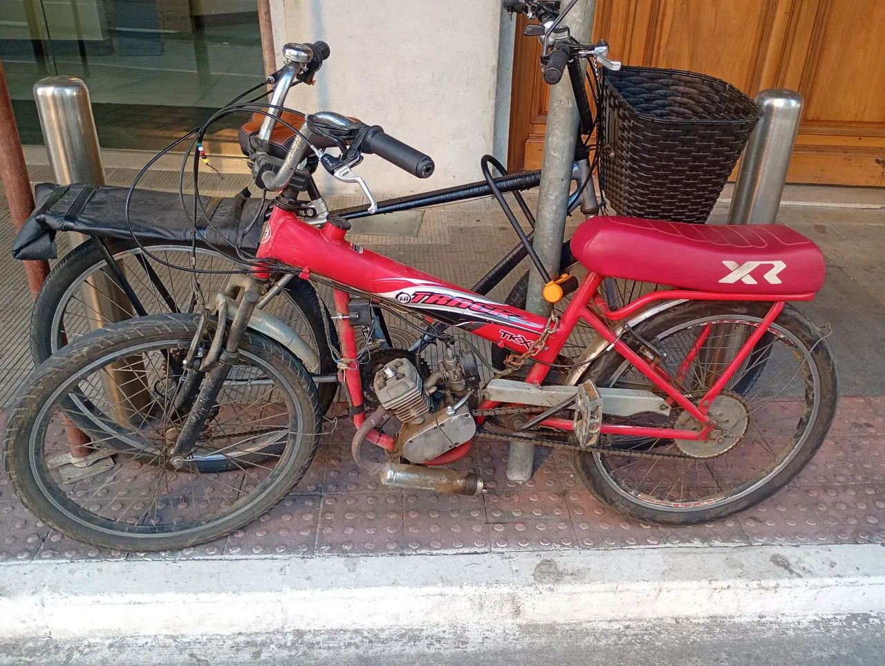 Vendo ou negócio em cavalos  - Foto 3