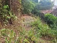 Terreno no Ingá - Foto 3