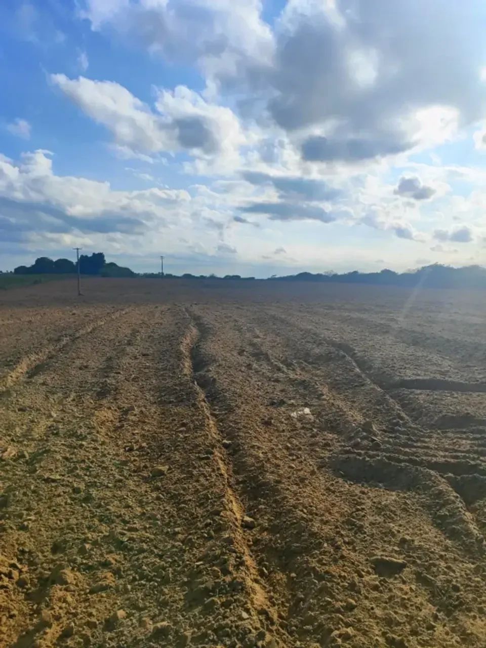 Granja com 3.6 hectares na região de Monte Alegre - Foto 5