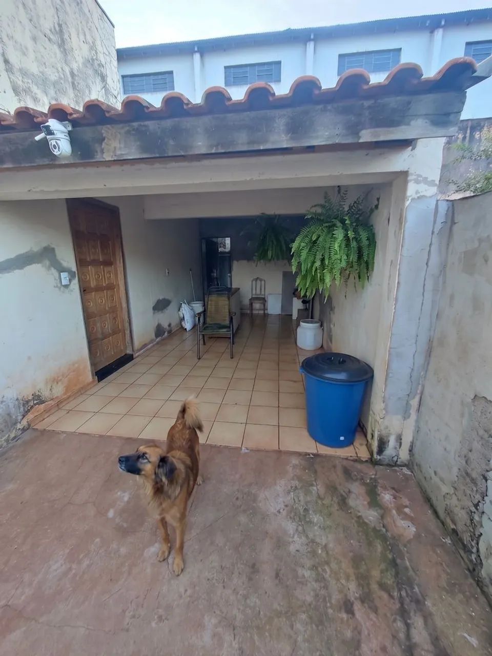 Casa à Venda - Centro, Califórnia - Foto 2