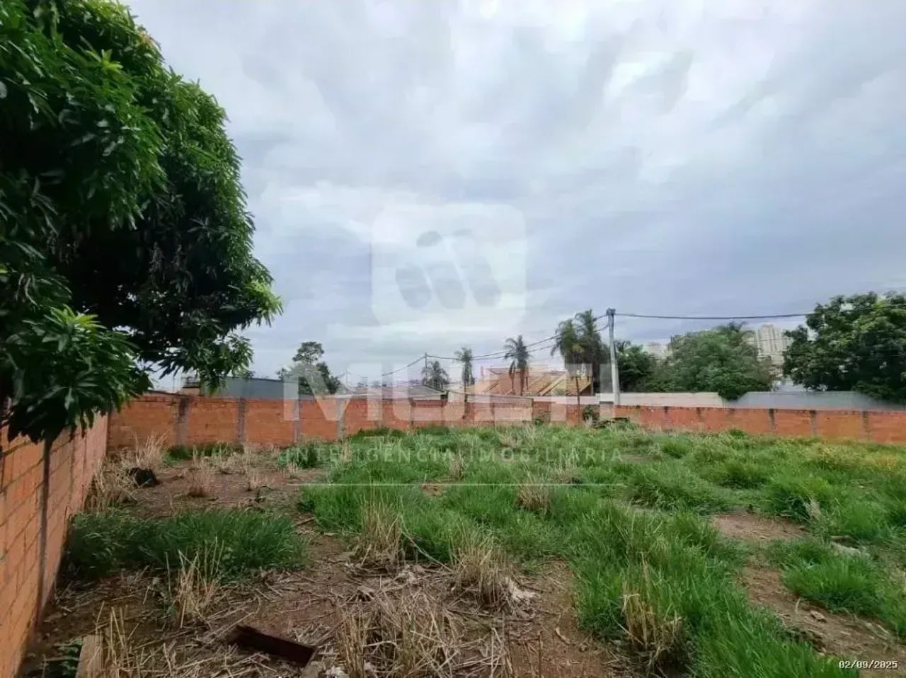 Area - VIGILATO PEREIRA - Foto 4