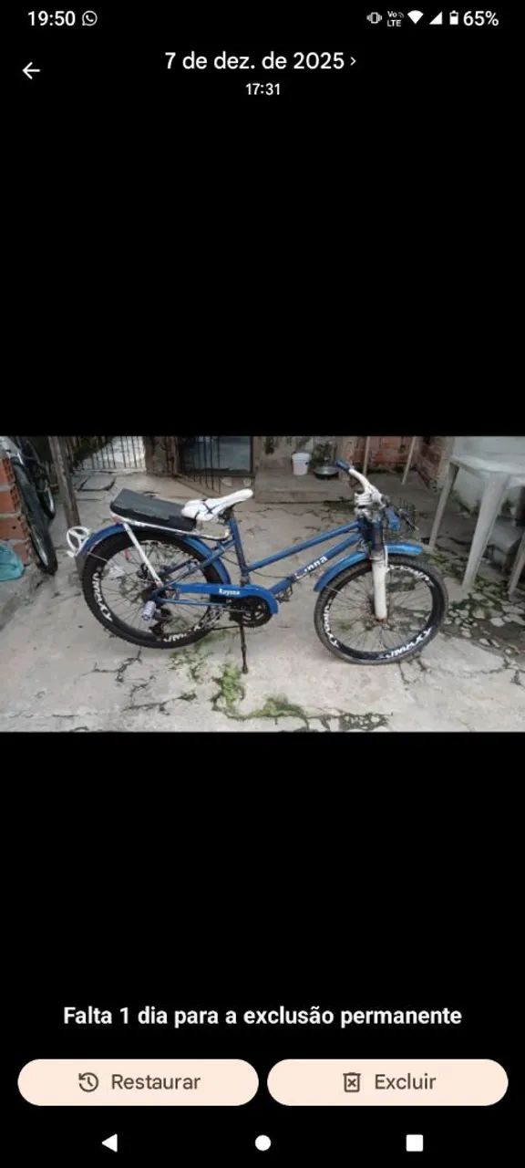 Bicicleta 