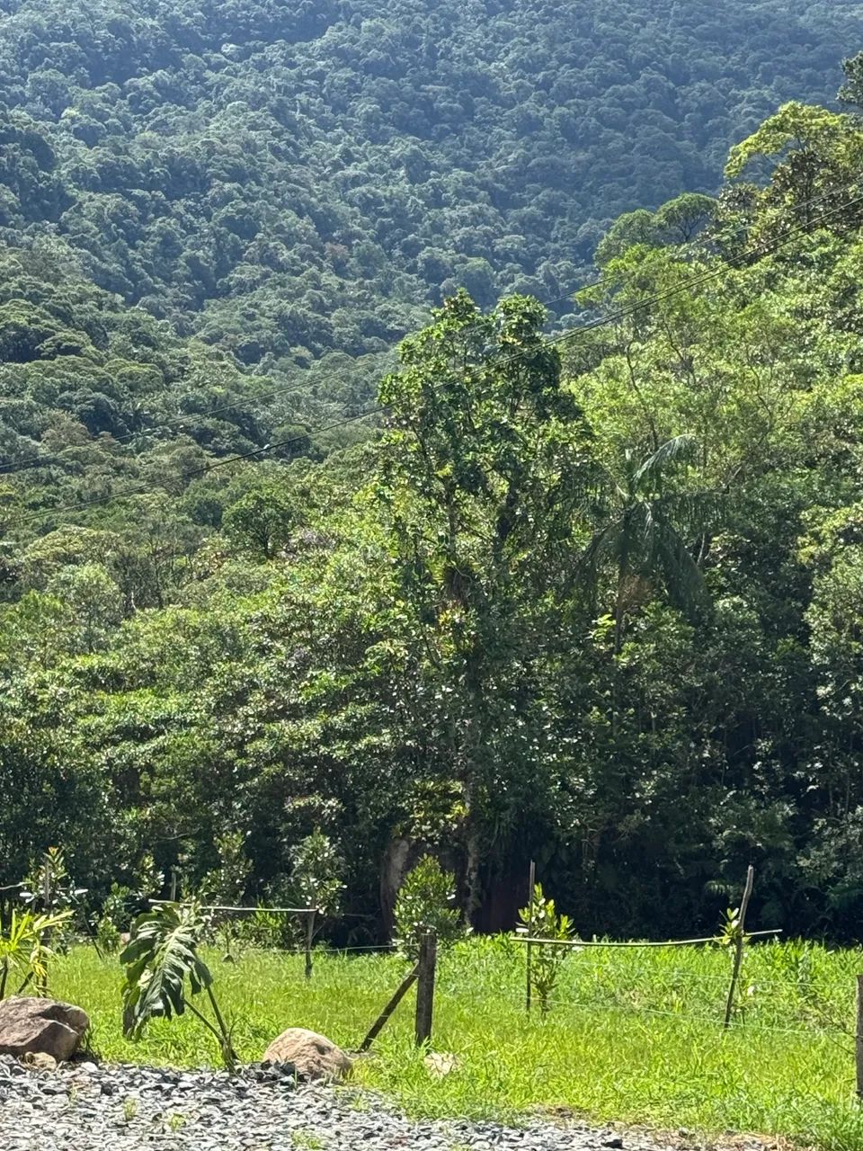 Terreno em Joinville  - Foto 3