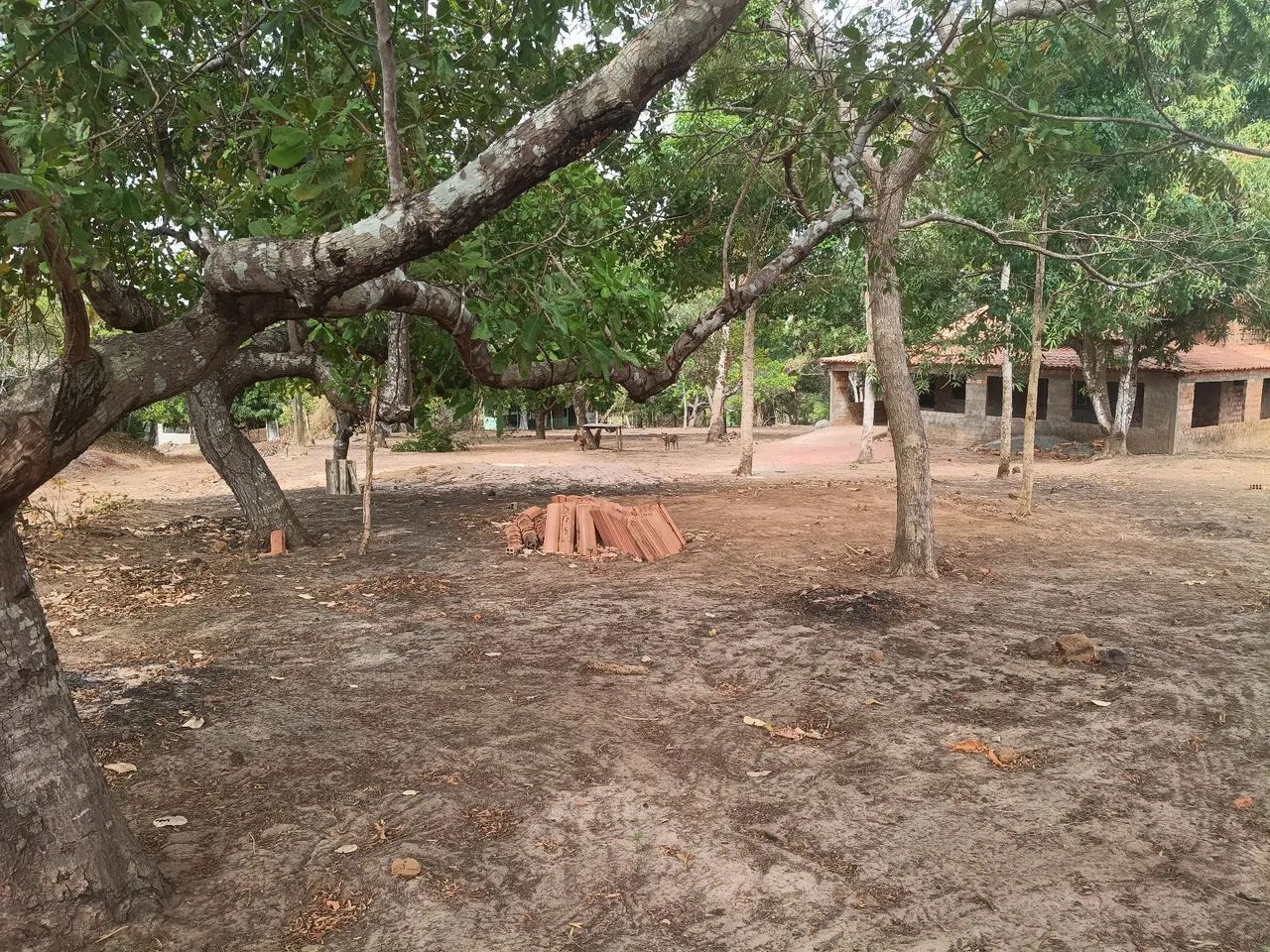 Sítio Venda  - Foto 2