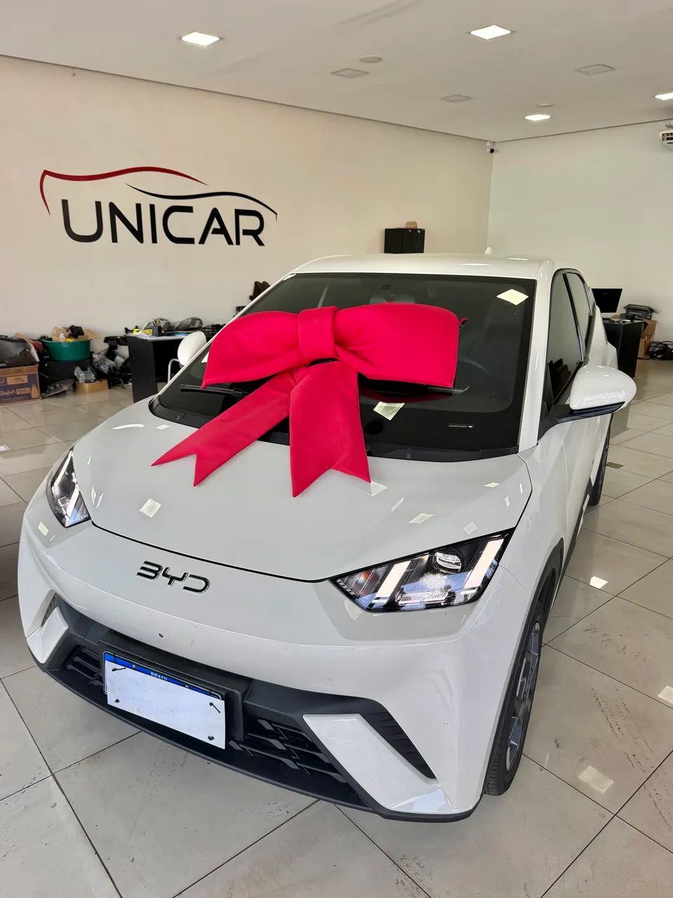 BYD Dolphin Mini (Elétrico) 2026 - Foto 5