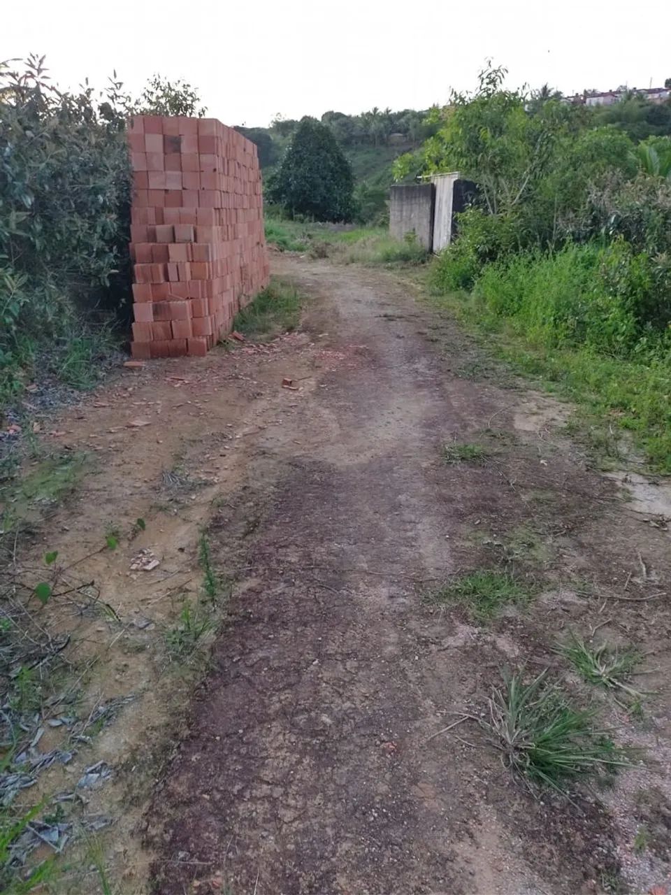 Vendo ou troco terreno em Rio Formoso - Foto 3