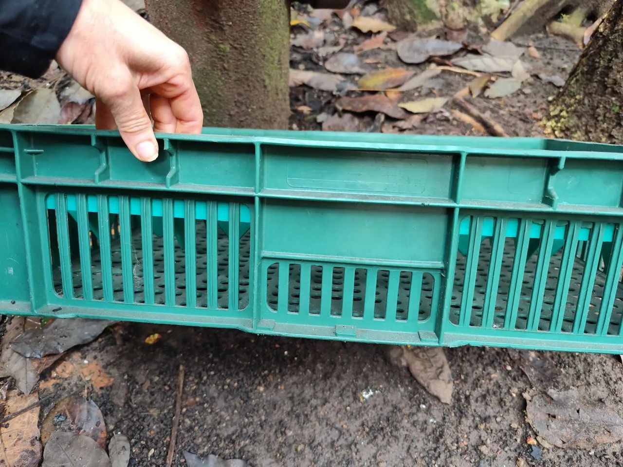 Caixa de plástico para copos * - Foto 2