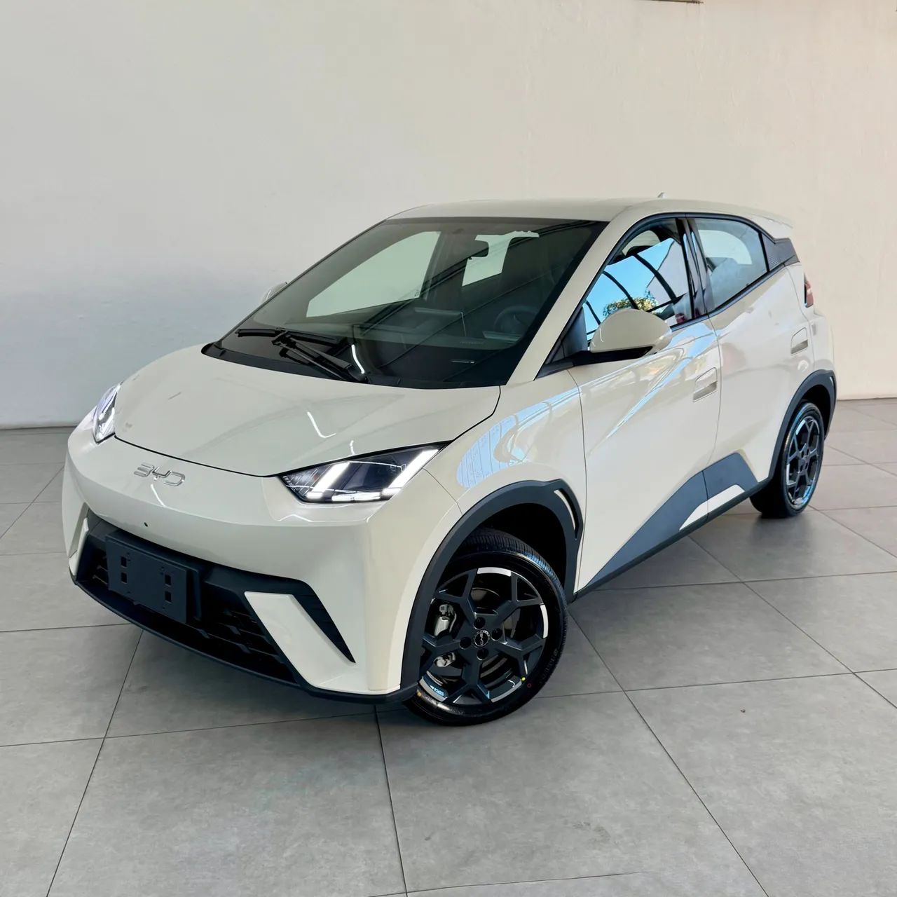 BYD Dolphin Mini (Elétrico) 2026 - Foto 5