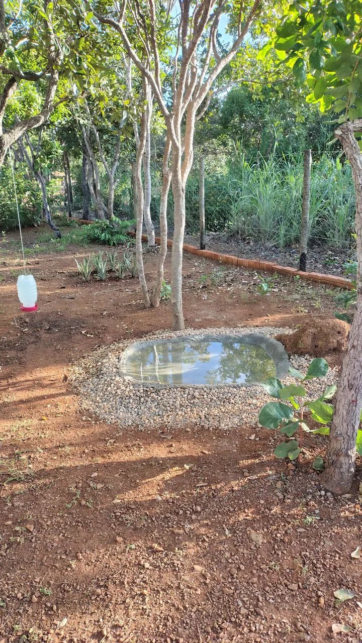 CHÁCARA NA BEIRA DO LAGO DE PALMAS  - Foto 4