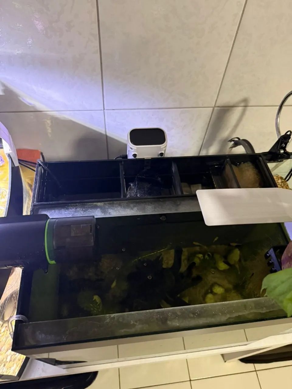 "Aquário 80 litros com sump, bomba d'água, mídias e perlon" (sem peixes)  - Foto 4