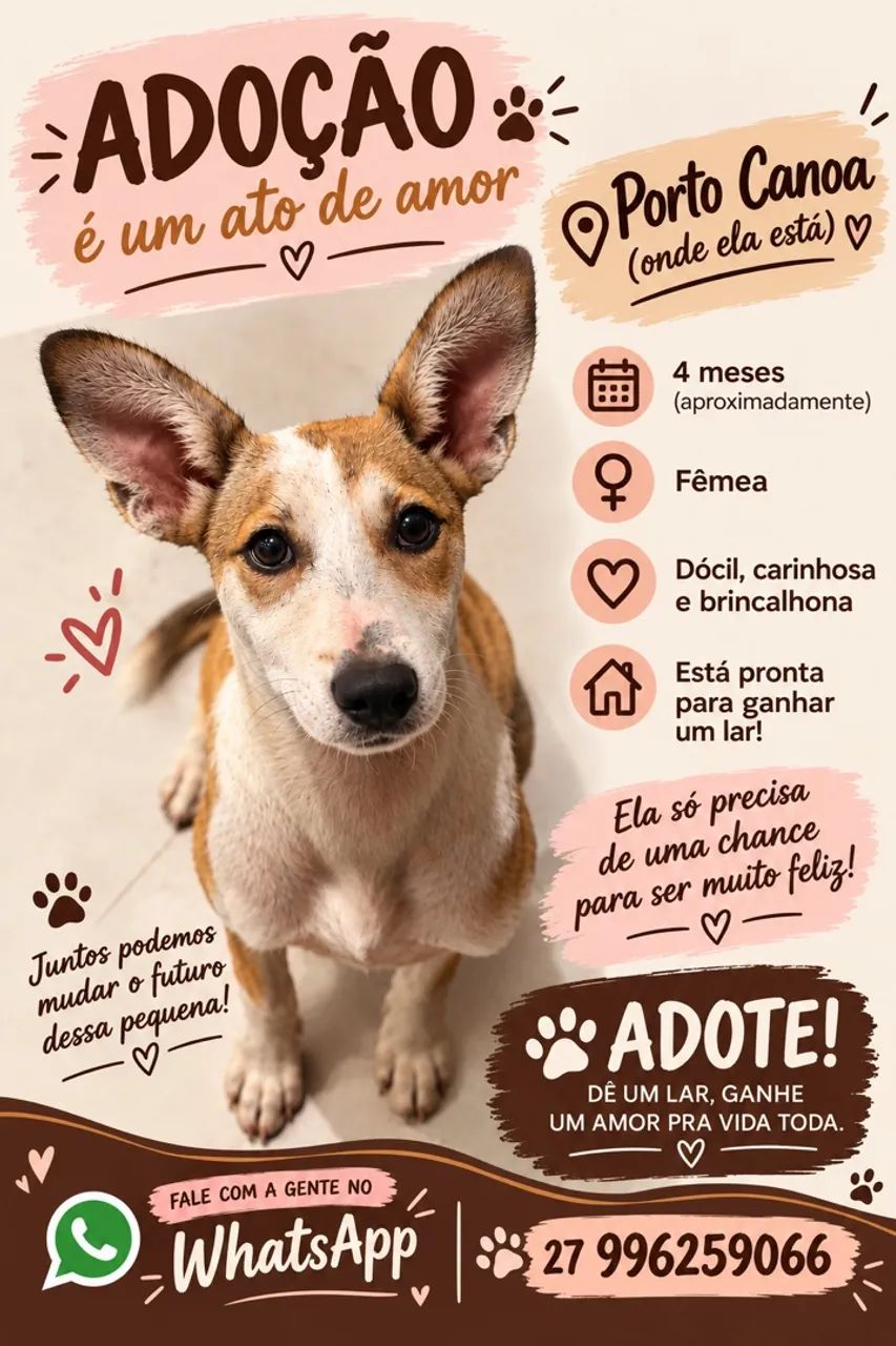 Adoção 