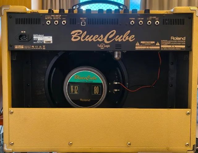 Amplificador Roland Blues Cube Artist 80w + Tone Capsule + Case