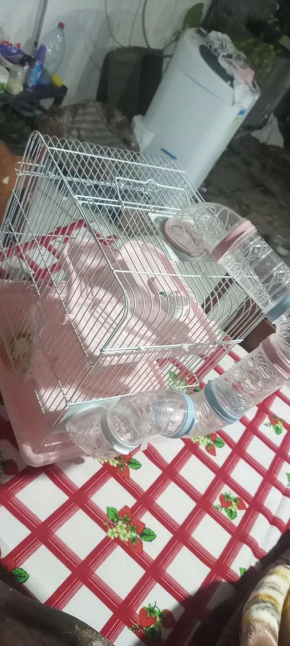 Casa para hamster  - Foto 2