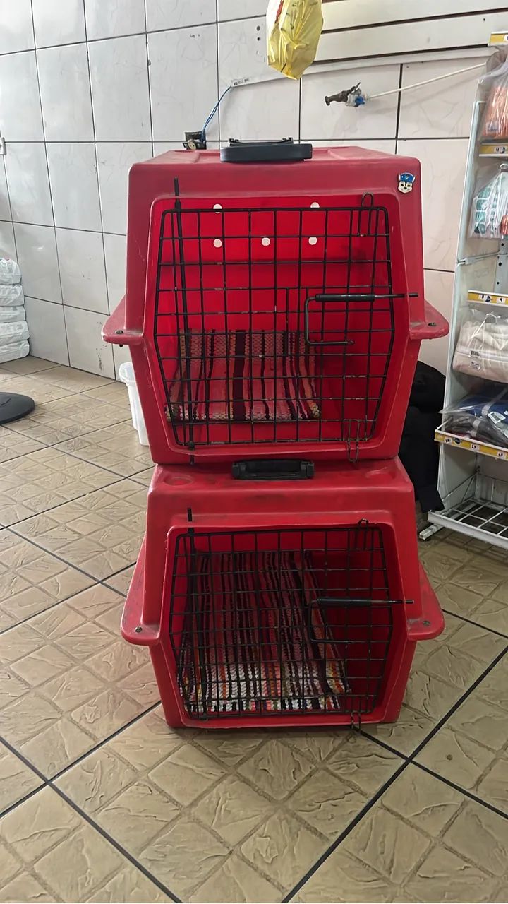 Caixas de transporte para pets