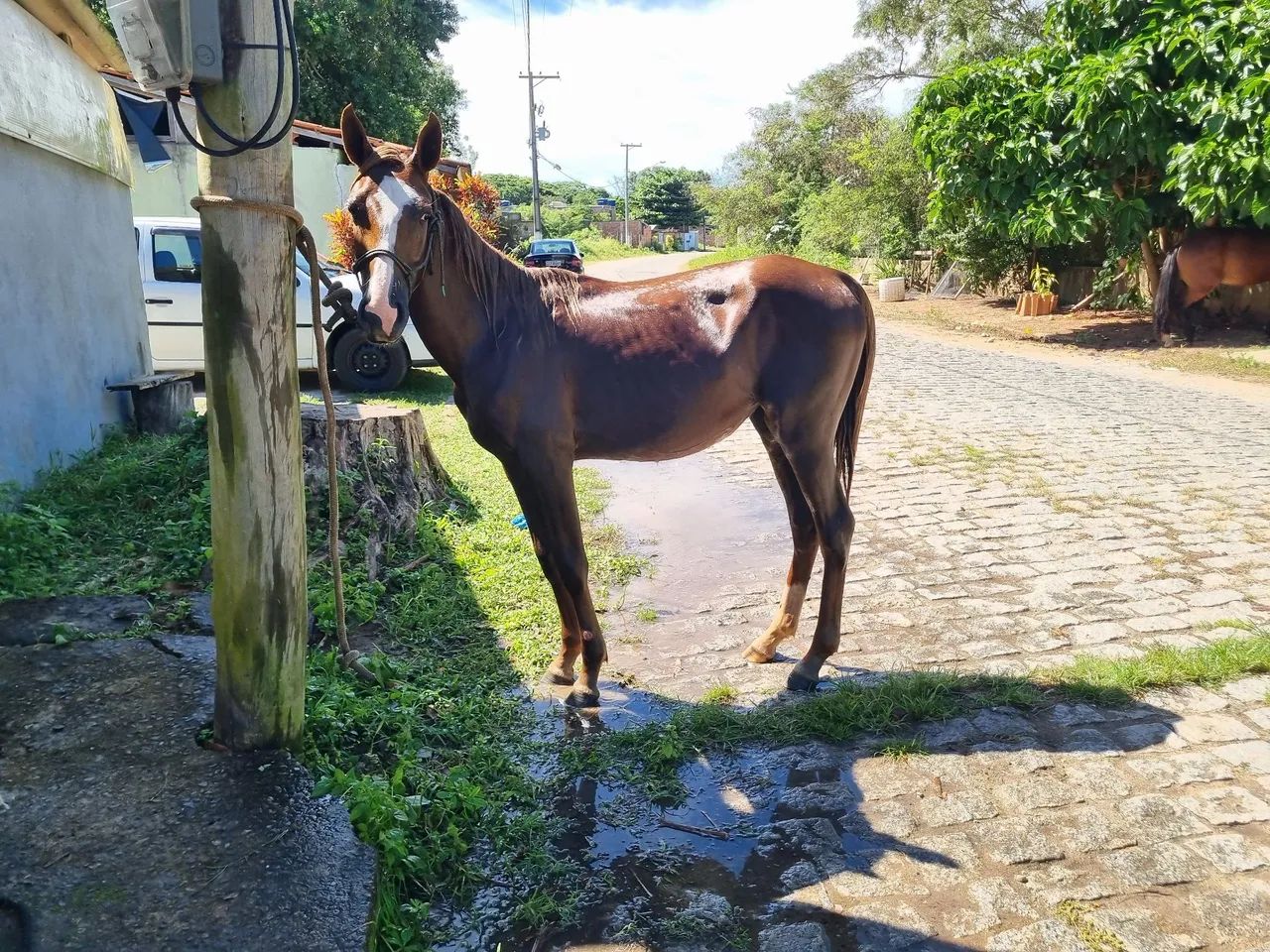 Vendo ou negocio  - Foto 5