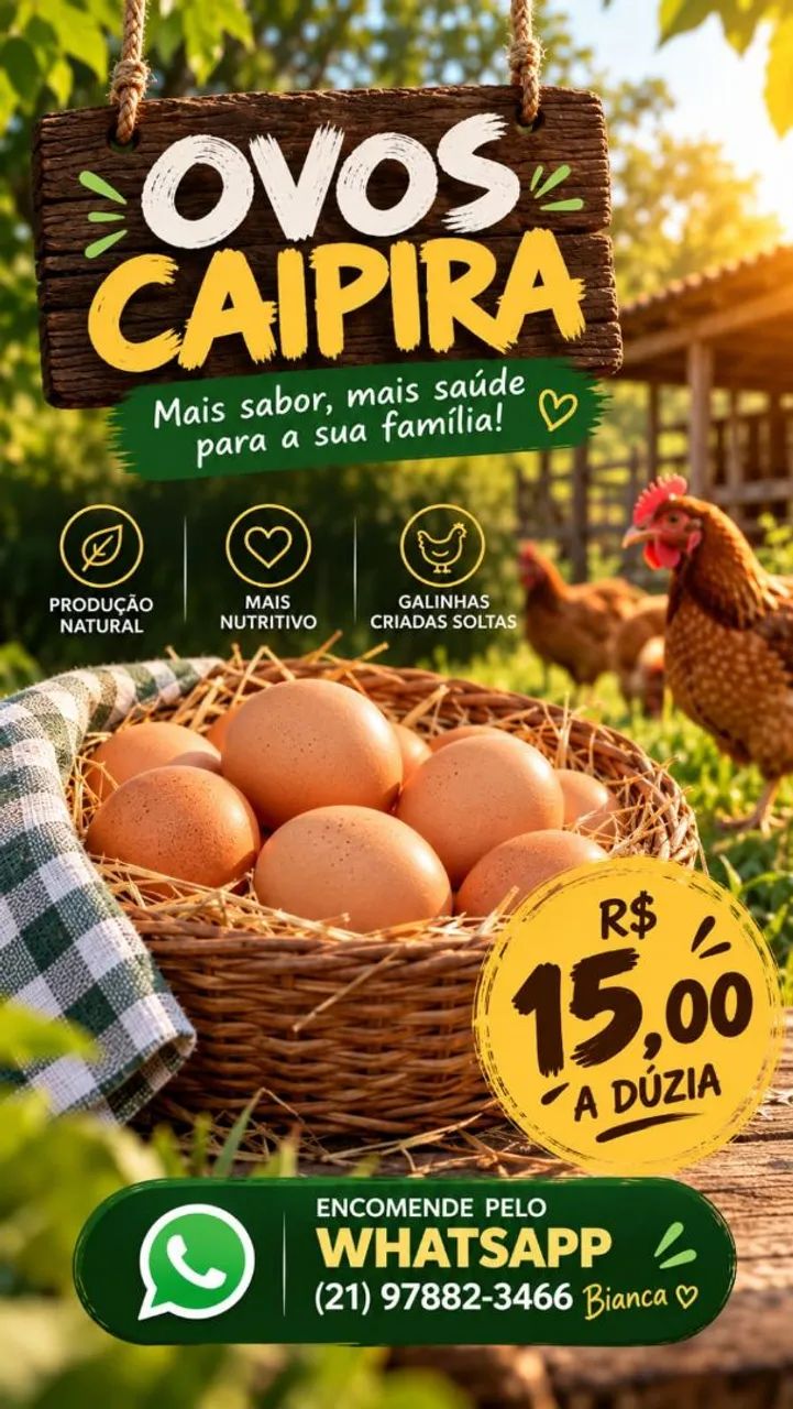 Vendo Ovos Caipira da Roça!