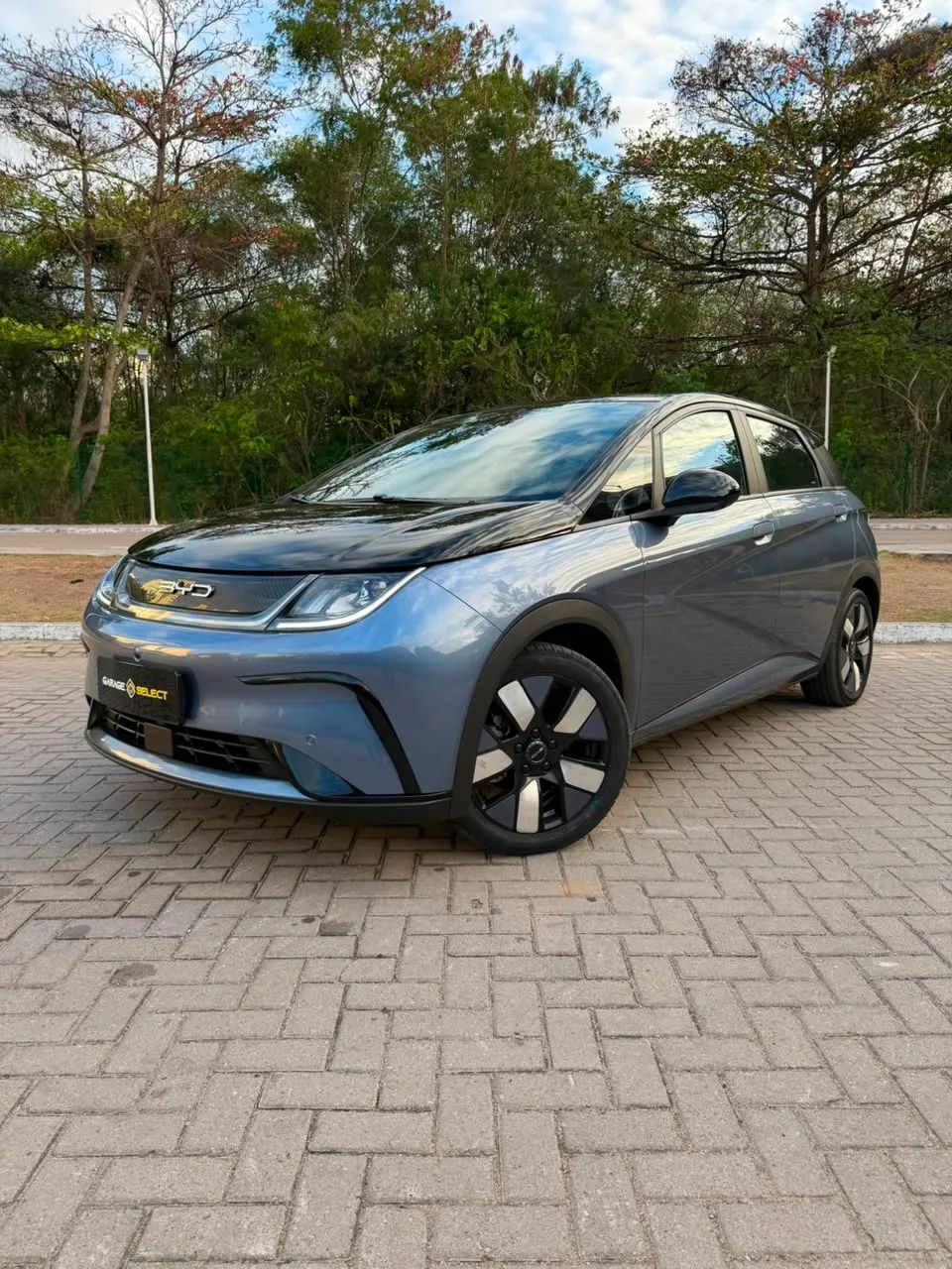BYD Dolphin Plus (Elétrico) 2024