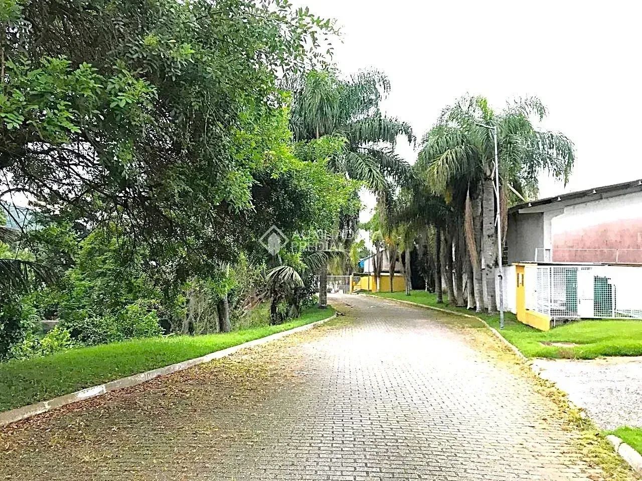 Terreno em Condomínio 454m² à venda em Ratones, Florianópolis. - Foto 3