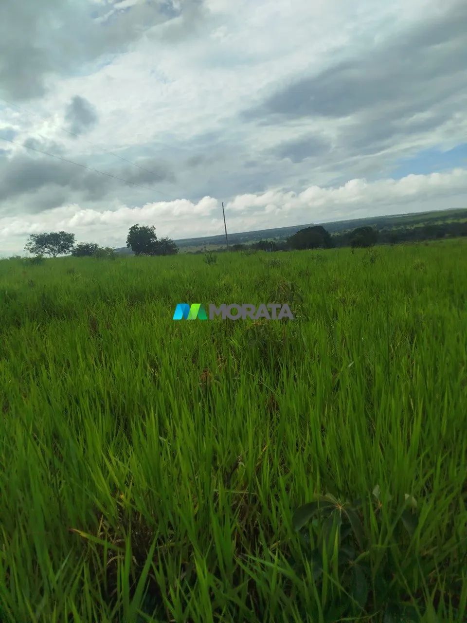 FAZENDA À VENDA - 167 HECTARES - ABAETÉ (MG) - Foto 4