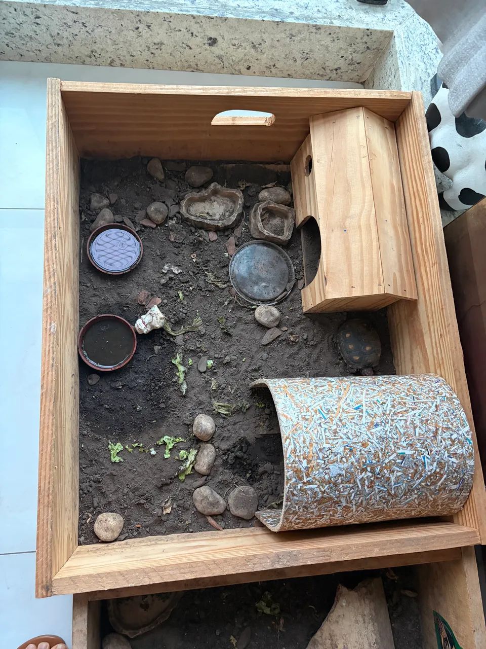Caixa terrário para jabuti - Foto 2